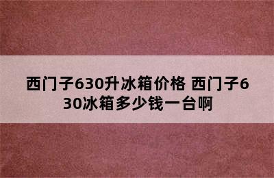 西门子630升冰箱价格 西门子630冰箱多少钱一台啊